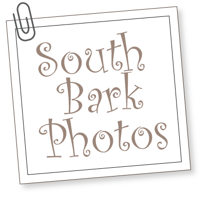 South Bark - Interactive Dog Boarding - Photos
